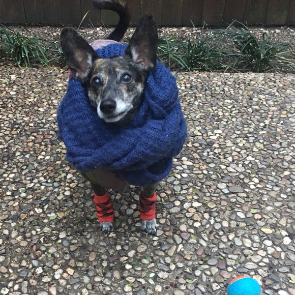 Meet Your Posher, Diana - Picture 4 of 4